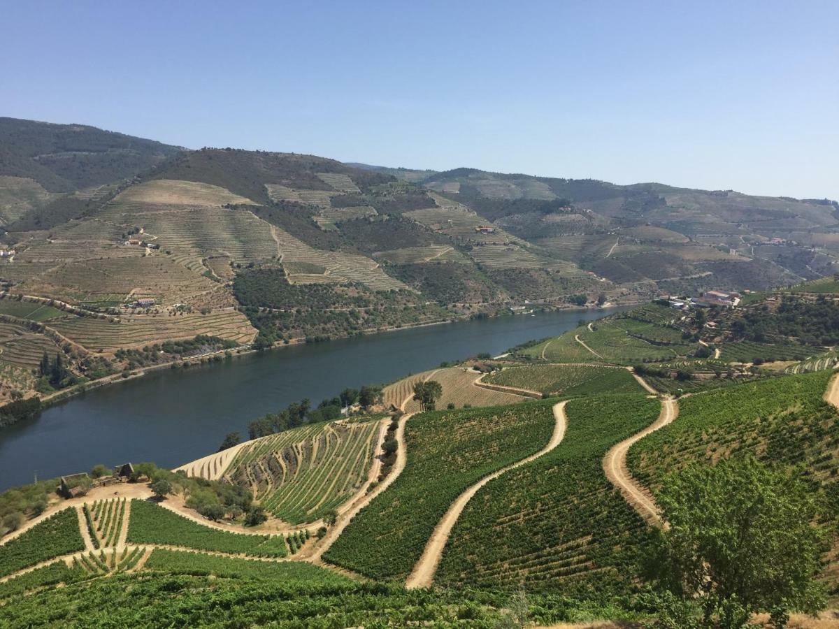 Refugio D'Anita Douro Valley House Barcos Bagian luar foto