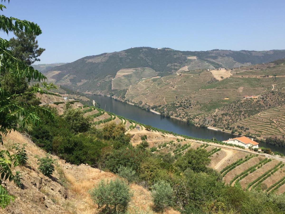 Refugio D'Anita Douro Valley House Barcos Bagian luar foto